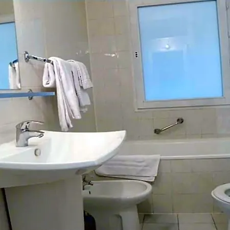 Camelia International-3